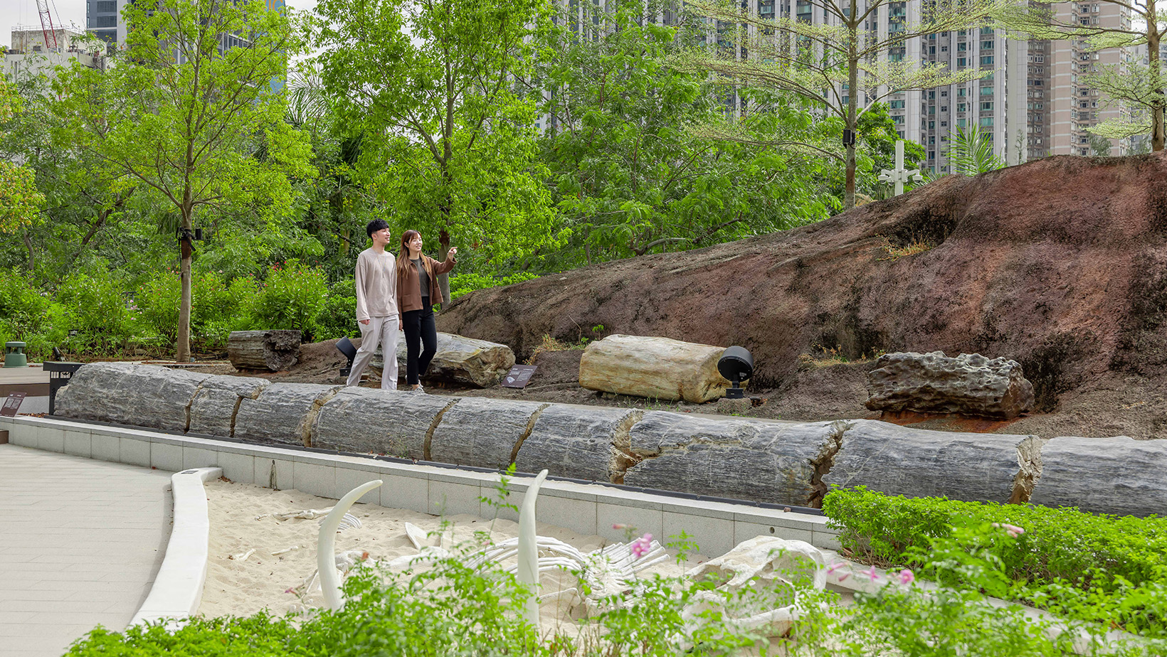 A Journey Through Time, Nature and Community
