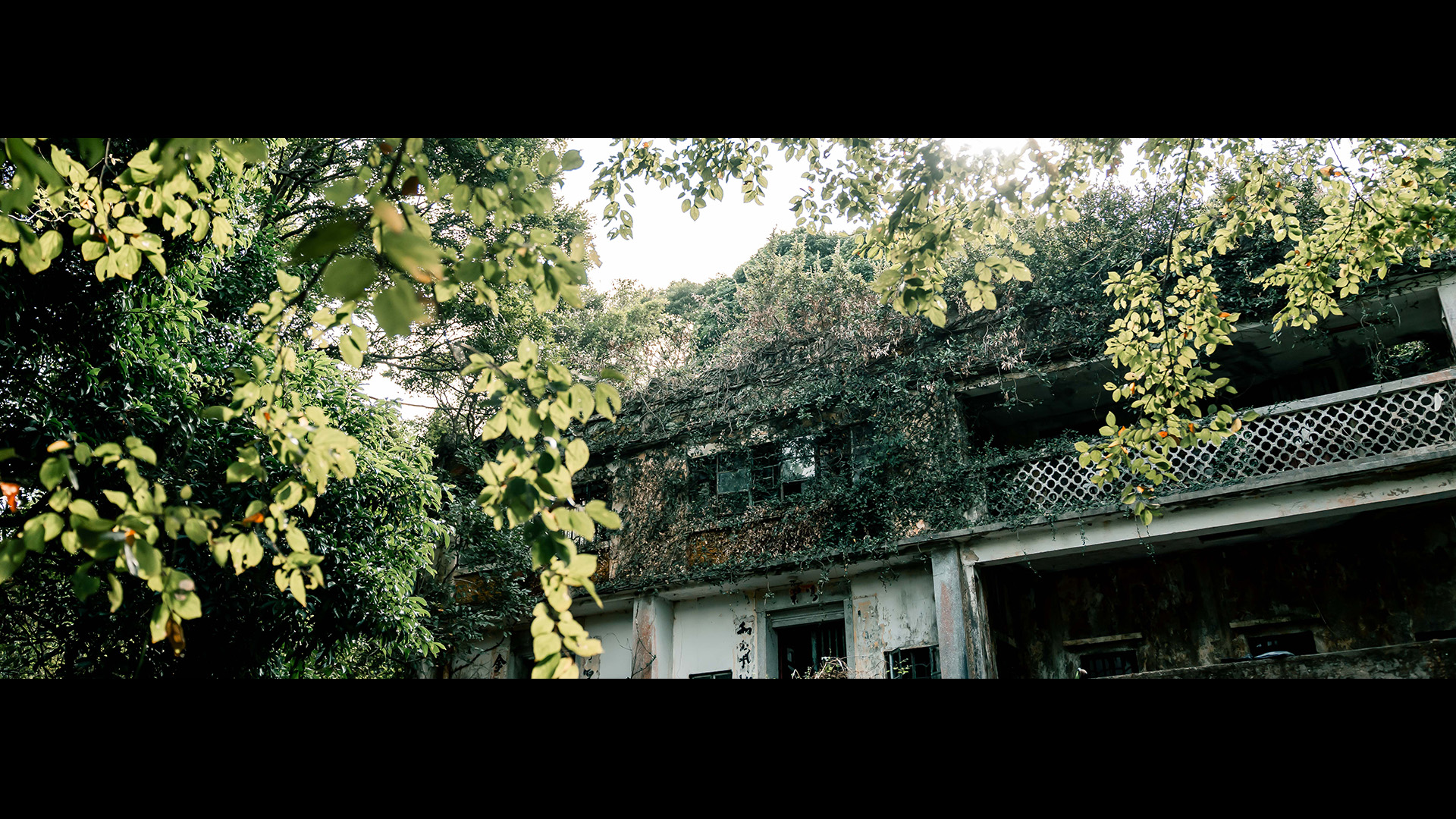 保育項目於沙頭角榕樹凹村，透過保育香香屋推動藝術文化傳承與社區發展，展現文化保育價值，香港華懋集團